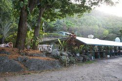 Ellis Beach Bar & Grill - Northern Rivers Accommodation 0