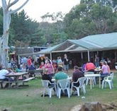 Bush Shack Brewery - Northern Rivers Accommodation