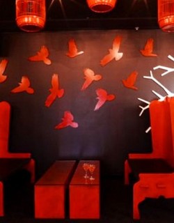 Soho Bar And Lounge - Northern Rivers Accommodation 0