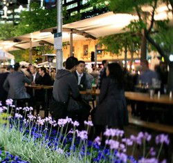 Quay Bar - Northern Rivers Accommodation 0