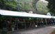 Ellis Beach Bar & Grill - thumb 1