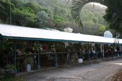 Ellis Beach Bar & Grill - Northern Rivers Accommodation 1