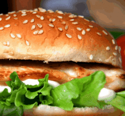 The Nags Head Hotel - Northern Rivers Accommodation 2