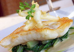 The Telegraph Hotel Geelong - Northern Rivers Accommodation 2