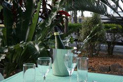 Ellis Beach Bar & Grill - Northern Rivers Accommodation 3