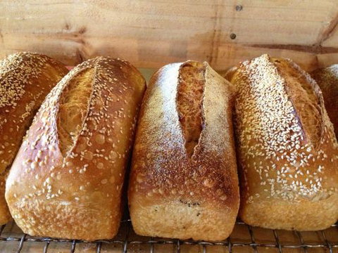 Devere Hotel - Northern Rivers Accommodation 0