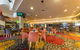 Sunshine Beach Surf Life Saving Club - thumb 2
