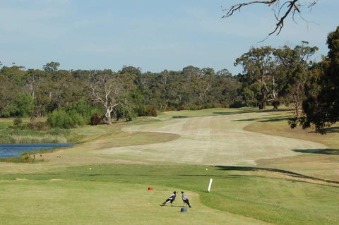 Devilbend Golf Club - Northern Rivers Accommodation 1