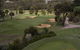 Devilbend Golf Club - thumb 4