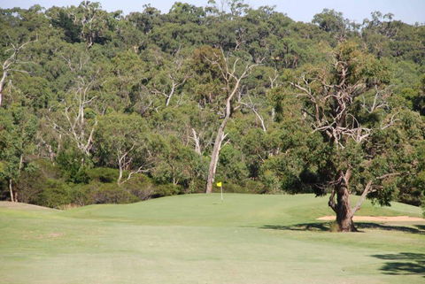 Devilbend Golf Club - Northern Rivers Accommodation 5