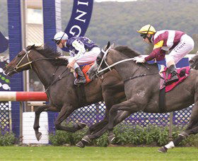 West Gosford NSW Northern Rivers Accommodation