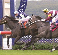 Gosford Race Club - Northern Rivers Accommodation