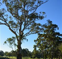 Ryde-Parramatta Golf Club - Northern Rivers Accommodation