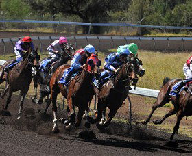 Alice Springs Turf Club - Northern Rivers Accommodation 0