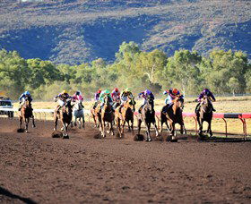 Alice Springs Turf Club - Northern Rivers Accommodation 6