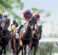 Colac Turf Club - Northern Rivers Accommodation