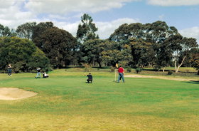 Lucindale Country Club - Northern Rivers Accommodation 1