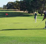 Waikerie Golf Club - Northern Rivers Accommodation