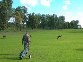 Boston SA Northern Rivers Accommodation