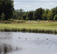 Llanherne Golf Club - Northern Rivers Accommodation