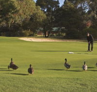 Royal Hobart Golf Club - Northern Rivers Accommodation