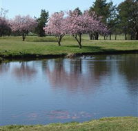 RMC Golf Club - Northern Rivers Accommodation