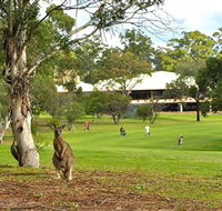 Pambula Merimbula Golf Club - Northern Rivers Accommodation