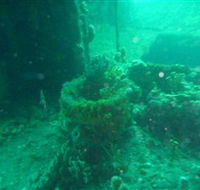 Wallaroo Scuba Club - Northern Rivers Accommodation