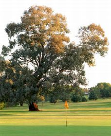 Cowra NSW Northern Rivers Accommodation