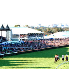 South Australian Jockey Club - Northern Rivers Accommodation 0