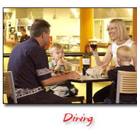 Steelers Club - Northern Rivers Accommodation