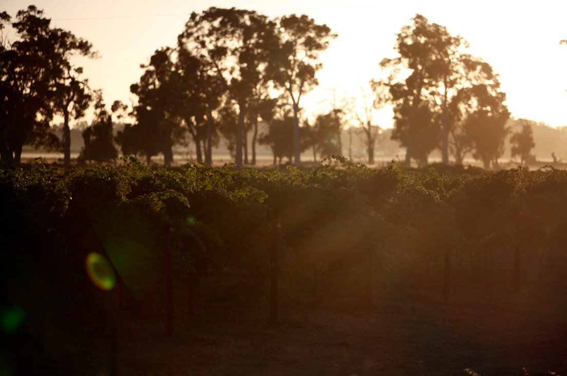 Wilyabrup WA Northern Rivers Accommodation