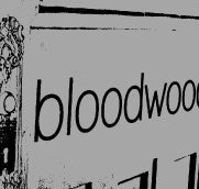 Bloodwood - Northern Rivers Accommodation