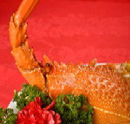 Marigold - Northern Rivers Accommodation