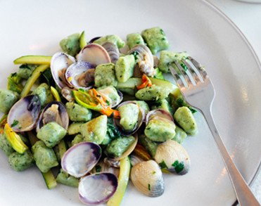 Uccello - Northern Rivers Accommodation 4