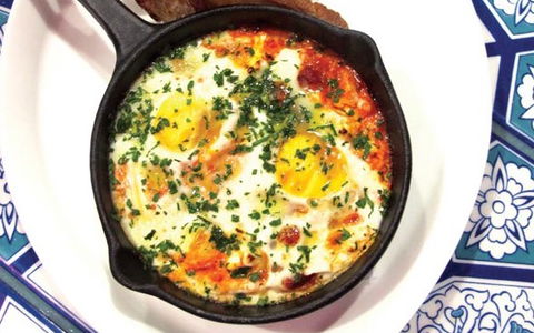 Xanthi - Northern Rivers Accommodation 2