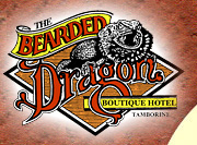 Tamborine Entertainment Venues Northern Rivers Accommodation Northern Rivers Accommodation