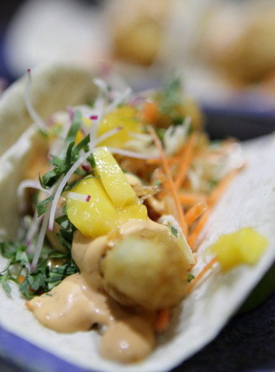 Mexicano - Northern Rivers Accommodation 0