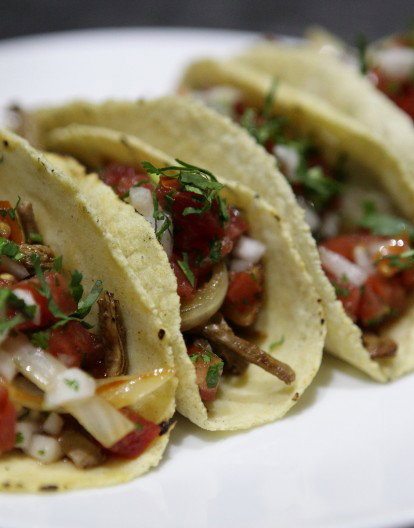 Mexicano - Northern Rivers Accommodation 1