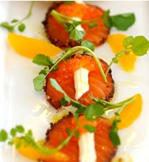 The Terrace On Pittwater - Northern Rivers Accommodation 0