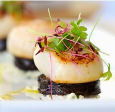 The Terrace On Pittwater - Northern Rivers Accommodation 1