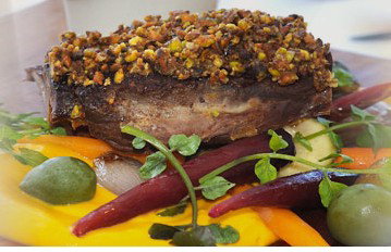 The Terrace On Pittwater - Northern Rivers Accommodation 2