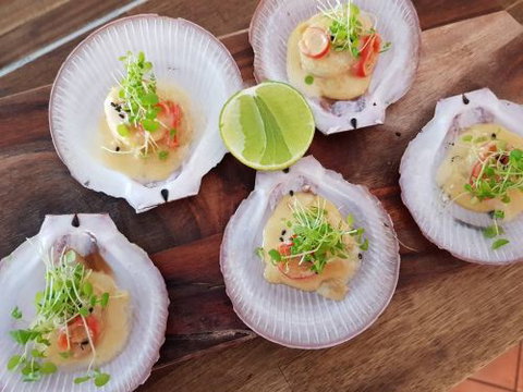 Codie's Place - Northern Rivers Accommodation 1