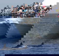 MoonshadowTQC Cruises - Northern Rivers Accommodation