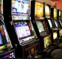 Buff Club - Northern Rivers Accommodation