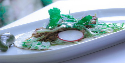 Pepino's Mexican Restaurant - Northern Rivers Accommodation 2