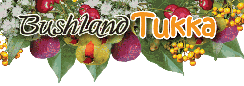 Bushland Tukka Cafe  Catering - Northern Rivers Accommodation
