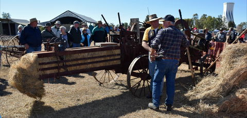 19th Annual Old Wheels In Motion Rally - Northern Rivers Accommodation 0