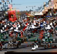 Australian Celtic Festival - Northern Rivers Accommodation