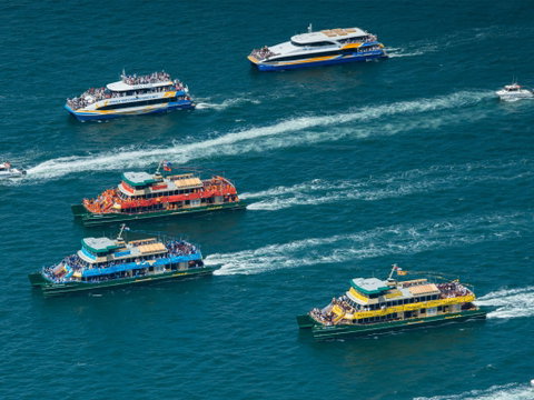 Australia Day Sydney Harbour Cruises - Northern Rivers Accommodation 1